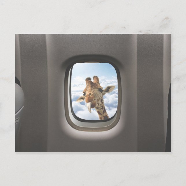 Funny Giraffe Vykort (Framsida)