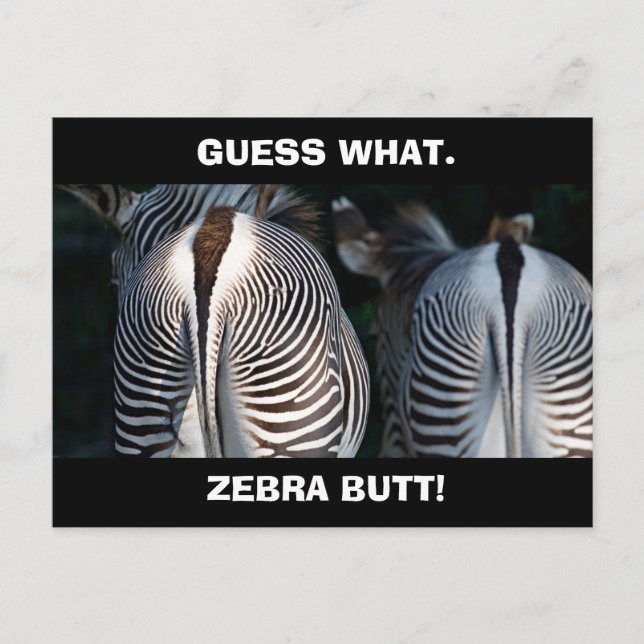 Funny Gissa vad Zebra Butt Wildlife Vykort (Framsida)