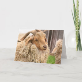 Funny Goat och Kid Fars dag Card Kort