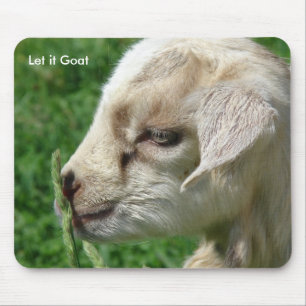 Funny Goat Parody, Cute Goat Kid Musmatta