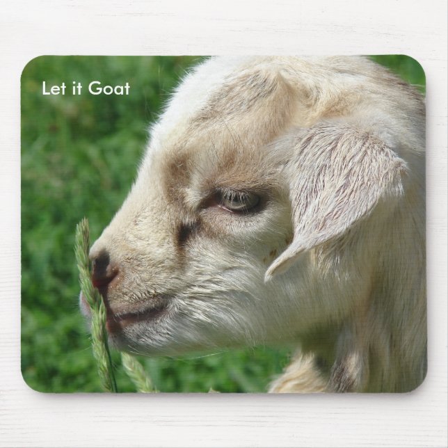 Funny Goat Parody, Cute Goat Kid Musmatta (Framsidan)