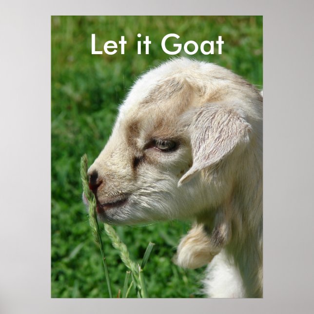 Funny Goat Parody, Cute Goat Kid Poster (Framsidan)