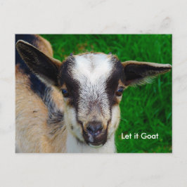 Funny Goat Parody Postcard Vykort