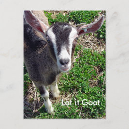 Funny Goat Parody Vykort