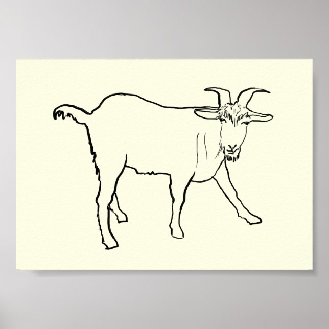 Funny Goat Teckning Quirky Tecknad Farm Animal Art Poster (Framsidan)