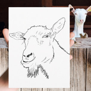 Funny Goat Teckning Vykort