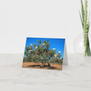 Funny Goats i Träd Kort