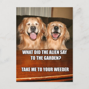 Funny Golden Retriever Alien Joke Meme Vykort