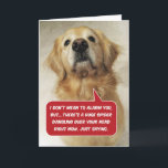Funny Golden Retriever Arachnophobia - Birthday Kort<br><div class="desc">Det här är Riley, en vacker Golden Retriever som är tittar för dig (hon är en hjälparbetare hund). Hon har upptäckt en stor spindel som rör sig över huvudet och är ge att huvudet går upp. Vilket visar dig, det är värre sak i livet än att bli ett år äldre....</div>