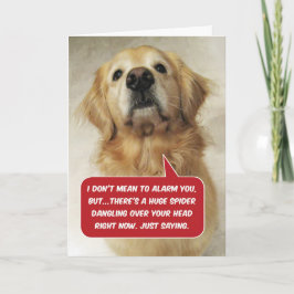 Funny Golden Retriever Arachnophobia - Birthday Kort