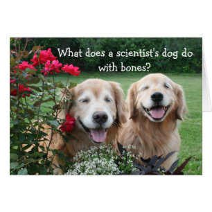 Funny Golden Retriever Barium Scientist Joke Hälsningskort