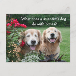 Funny Golden Retriever Barium Scientist Joke Vykort