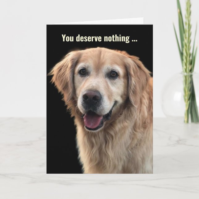 Funny Golden Retriever Birthday Card Kort (Framsida)
