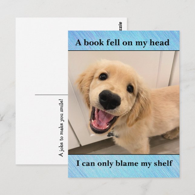 Funny Golden Retriever Bok Shelf Joke Meme Vykort (Fram/baksida)