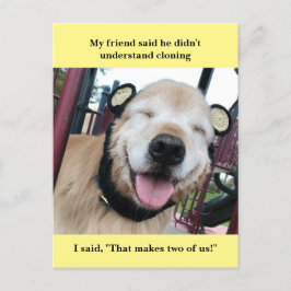 Funny Golden Retriever Cloning Joke Meme Vykort
