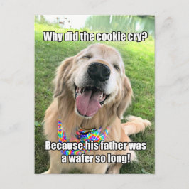 Funny Golden Retriever Cookie-vykort Vykort
