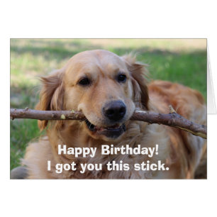 Funny Golden Retriever Dog Humor Grattis på födels Hälsningskort