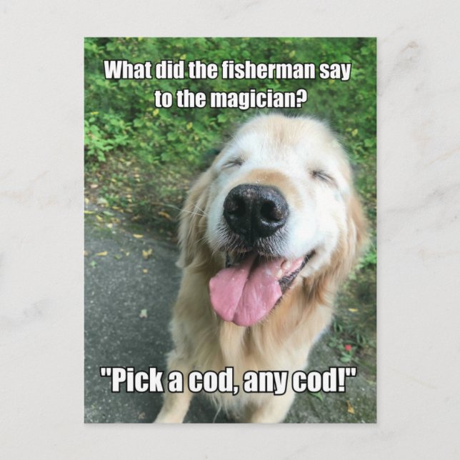 Funny Golden Retriever Fisherman Joke Meme Vykort (Framsida)