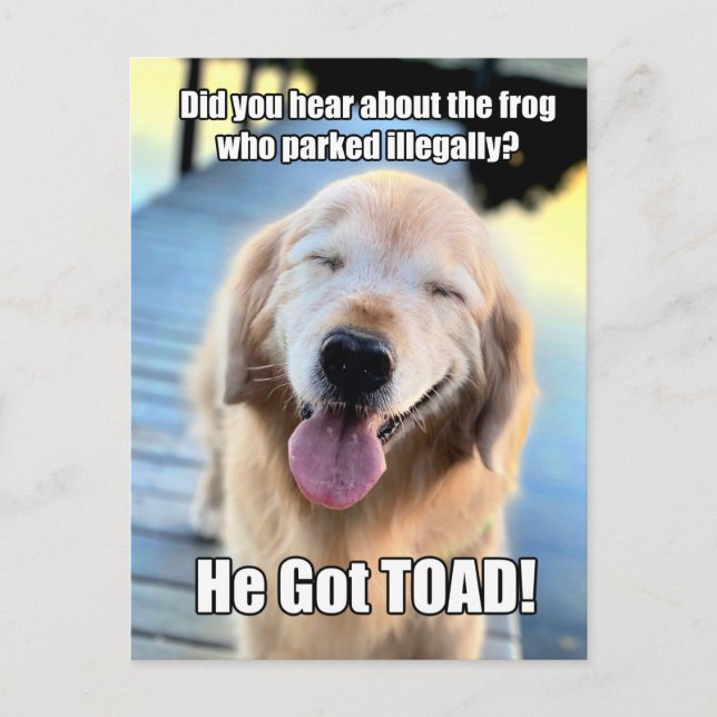 Funny Golden Retriever Frog Joke Meme Vykort (Framsida)