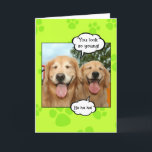 Funny Golden Retriever Golden Oldie Birthday Kort<br><div class="desc">Det här roliga hälsningskortet innehåller ett foto av två skrattande guldkopierande hundar. Tal bubblor säger: "Du ser så ung ut!" och "Ha ha ha ha ha!" Medan texten i texten står: "Grattis på födelsedagen till en gyllene ldie!"</div>