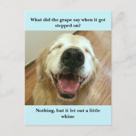 Funny Golden Retriever Grape Joke Meme Vykort