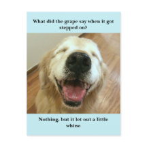 Funny Golden Retriever Grape Joke Meme
