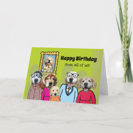 Funny Golden Retriever Grattis på födelsedagen frå Kort