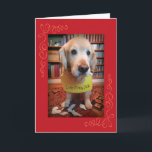 Funny Golden Retriever Guilty Pleasures Birthday Kort<br><div class="desc">En Golden Retriever,  som fångas för att äta en bok,  vill ha en perfekt på födelsedag (i linje med den senaste trenden av hund shaming). Ingen hundar skadades i skapar av detta kort...  bara en bok. Förlåt,  Moby Dick!</div>