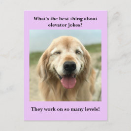 Funny Golden Retriever Hund Elevator Joke Vykort