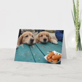 Funny Golden Retriever Hundar Birthday Önskemål Kort