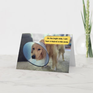 Funny Golden Retriever i Cone Get well Kort