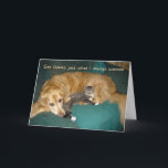 Funny Golden Retriever med Kitten Birthday Kort<br><div class="desc">Otis är den gyllene retriever inte imponerad av sin kattunge närvarande! Skicka din favorit-hund och kattälskare ett skratt för sin födelsedag med det här vackra kortet med Otis,  en rädding guldladdare.</div>