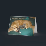 Funny Golden Retriever med Kitten Birthday Kort<br><div class="desc">Otis är den gyllene retriever inte imponerad av sin kattunge närvarande! Skicka din favorit-hund och kattälskare ett skratt för sin födelsedag med det här vackra kortet med Otis,  en rädding guldladdare.</div>
