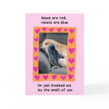 Funny Golden Retriever med Shoe Valentine's