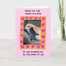 Funny Golden Retriever med Shoe Valentine's Kort