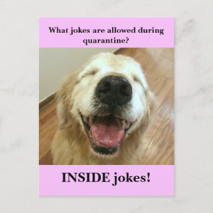 Funny Golden Retriever Quarantine Joke Meme Vykort