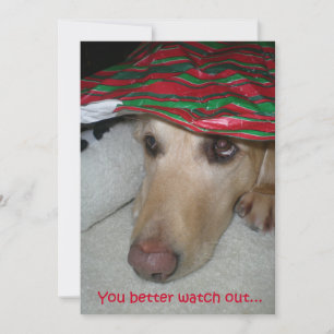 Funny Golden Retriever som tittar efter tomten Julkort