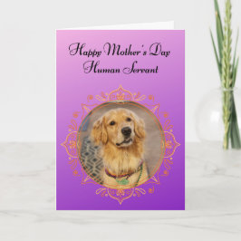 Funny Golden Retriever Superior Att vara Mors dag Kort