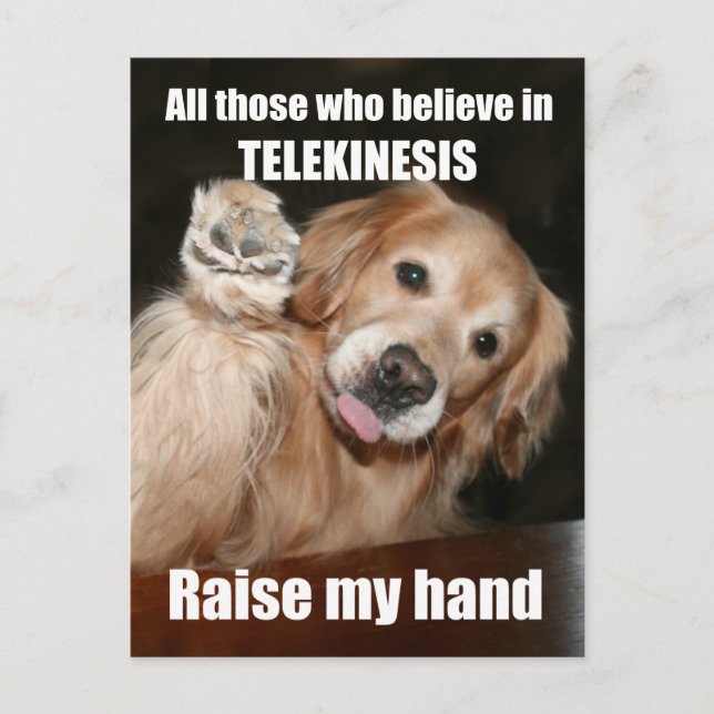 Funny Golden Retriever Telekinesis Joke Postcard Vykort (Framsida)