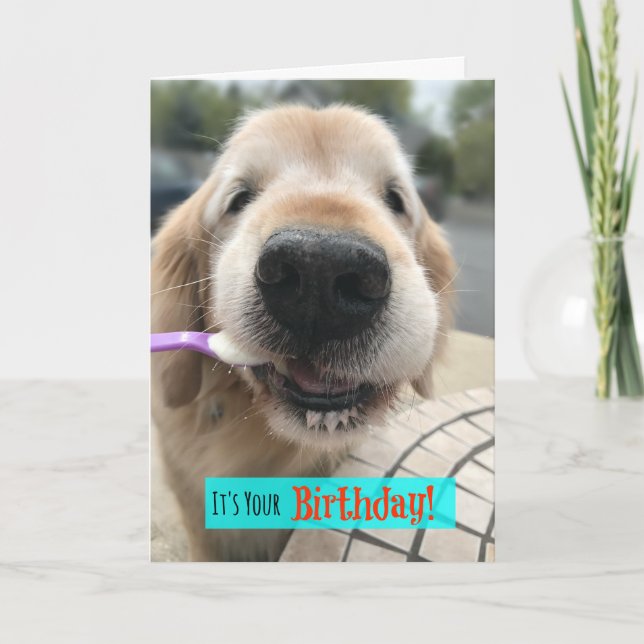 Funny Golden Retriever Treat Yo Self Birthday Kort (Framsida)