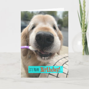 Funny Golden Retriever Treat Yo Self Birthday Kort