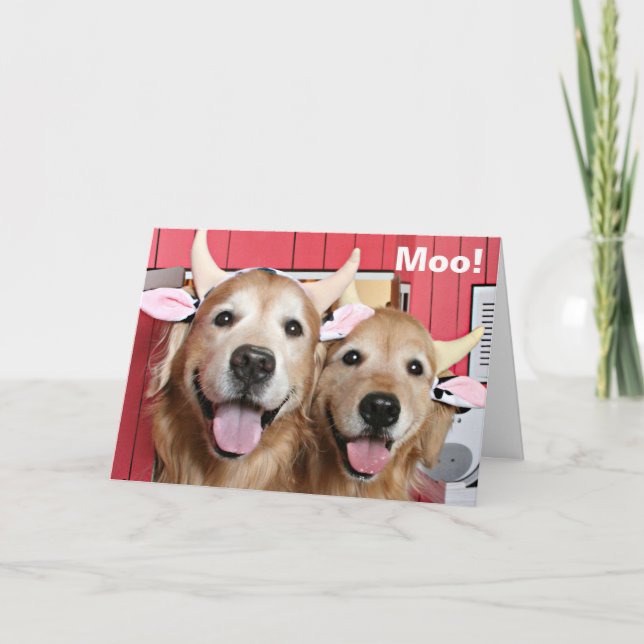 Funny Golden Retrievers in Cow Costumes Halloween Kort (Framsida)