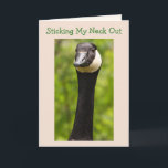 Funny Goose Joke Birthday Card Kort<br><div class="desc">Cute-foto av Kanada Goose mot en lush grönt bakgrund. Inuti finns ett foto av en gäst som kan läggas till födelsedagsfirandet. Anpassa meddelandena och skapa en egen roligt hälsning. Foton ©Christine Greenspan.</div>