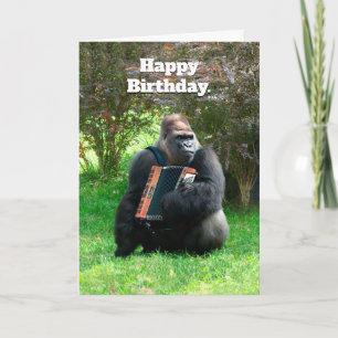 Funny Gorilla Accordion Player Birthday Card Kort
