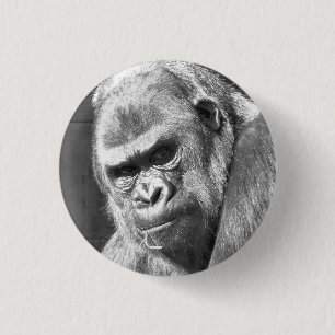 FUNNY GORILLA KNAPP