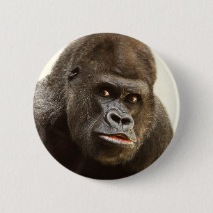 Funny Gorilla-knappar Knapp