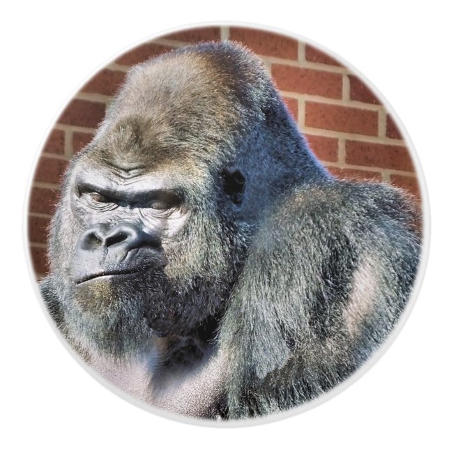 FUNNY GORILLA KNOPP (Framsidan)