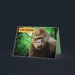 FUNNY GORILLA PHOTOGRAPHY BIRTHDAY CARD KORT<br><div class="desc">GORILLA BIRTHDAY CARD. TÄCK: GRATTIS PÅ FÖDELSEDAGEN. INSIDLÄSNINGAR: JA BIG APE</div>
