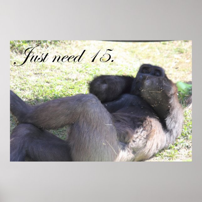 Funny Gorilla Poster (Framsidan)