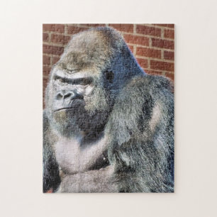 FUNNY GORILLA PUSSEL